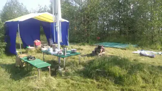 Шалом - 22