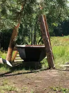 В гостях у Лешего - 83