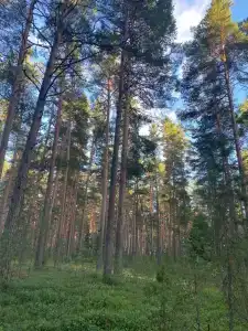 Гостевые дома в Бадачево - 71