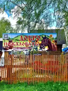 Стрижели - 13