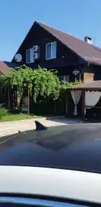 Беловежское Поместье - 50