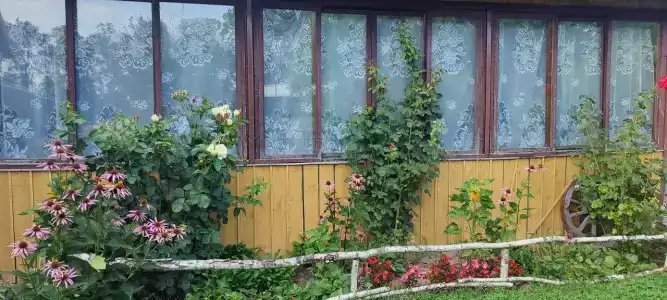 Старый хутор - 8