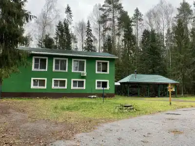 Сосновый берег - 36