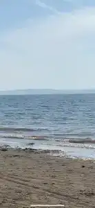 Даурское - 12