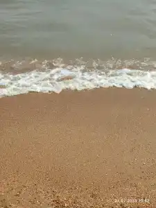 Золотые Пески - 16