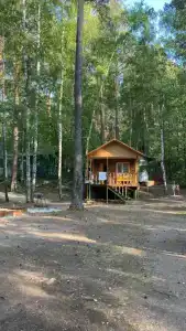 Сосенка - 39
