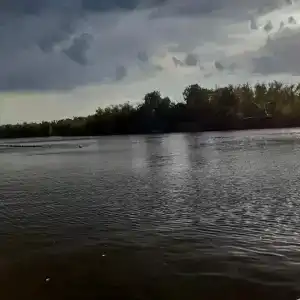 Бодрость - 71