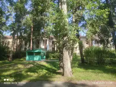 Каменный цветок - 9