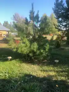 Пристань - 10