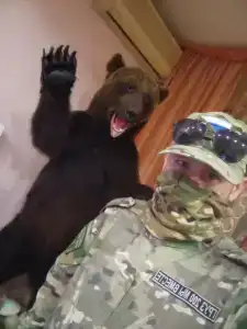 Лесная поляна - 17