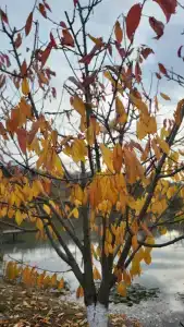 Хуторок - 24
