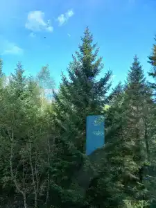 Санаторий Санус - 12