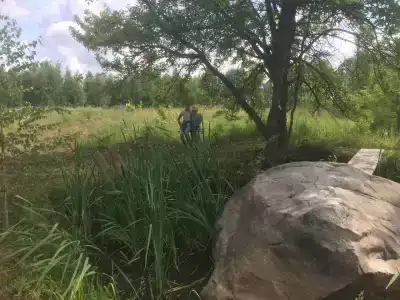 Мультиферма - 18