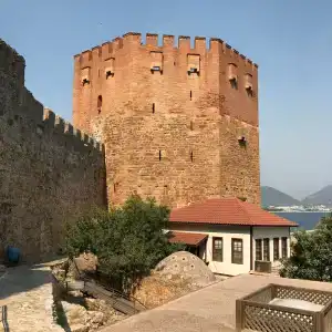 Rosella - 2