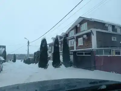 Георгиевский - 81