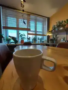 Лесная Ванна - 60