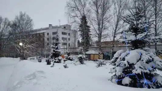 Березки - 72