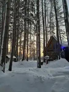 СмородинаХаус - 50