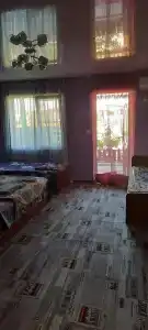 Kosadolgaya - 15