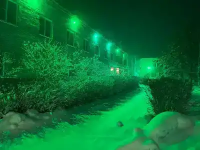 Зелёный остров - 11