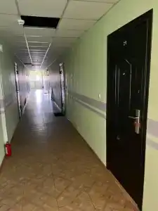 Лимон - 15