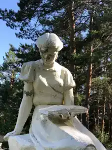 Сосновый бор - 31