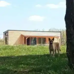 Смородина - 3