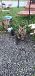 Четыре сезона - 57