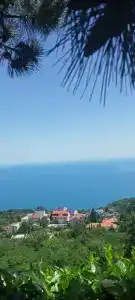 Парк Алубика - 15