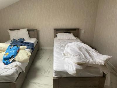 Пальмира - 37