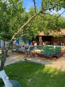 Зеленые ворота - 19