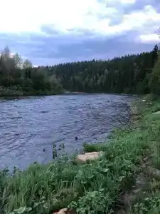 Горная Поляна - 63