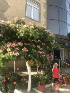 Гостиный двор - 3