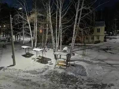 Бунчук - 47