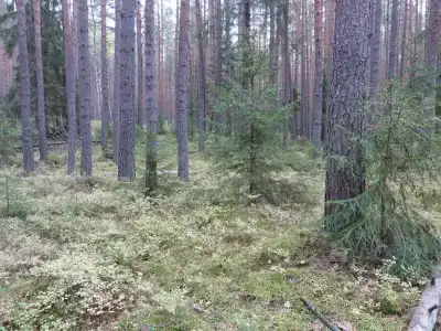 Кристалл - 10
