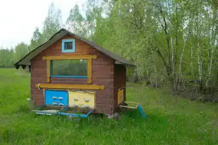 Белая лошадь - 16