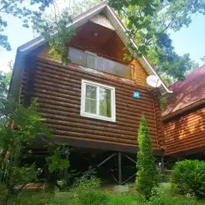 Инфанта - 5