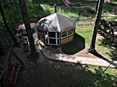 Park-kart - 11