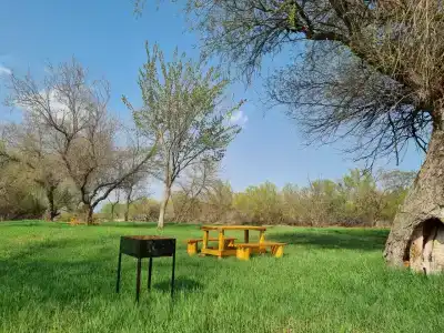 Заманиха - 39
