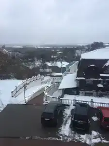 Левитанъ - 84