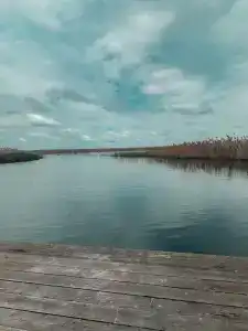 Оазис Станицы - 22