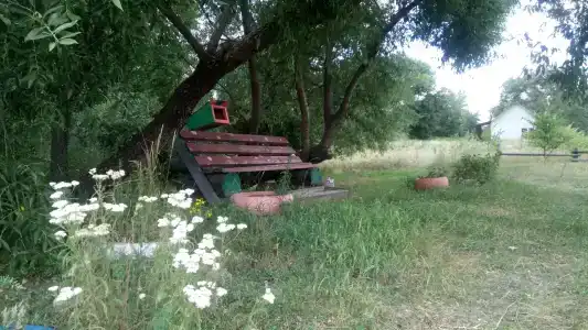 Приречное - 44