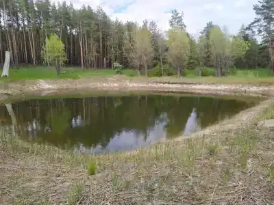 Усадьба - 83