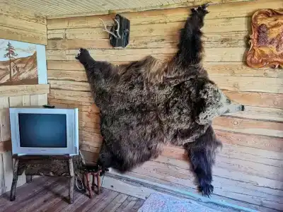 Заимка у Катуни - 46