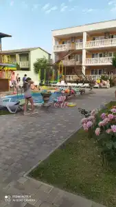 Золотой слон - 19