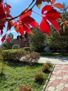 Сокольники - 5