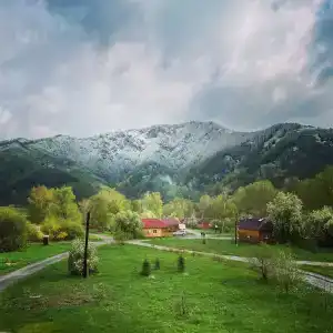 Лесная сказка - 1