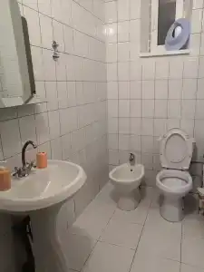 Сосновый бор - 8