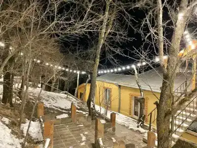 Arevatun Dilijan - 7