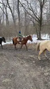 Родники - 52